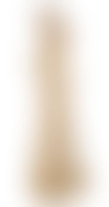 Albero (preview)