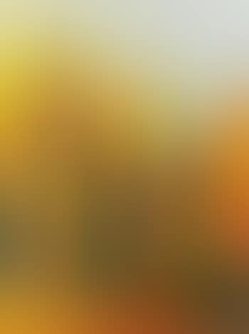 Stoccarda (preview)