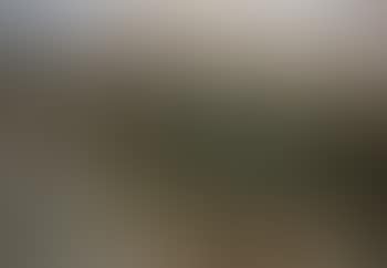 Paysage (preview)