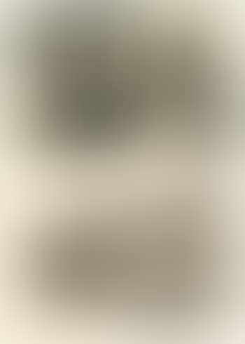 Landscript (Diptych) (preview)