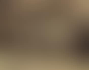 3 Quai De Bourbon (Boutique Louis XVI) (preview)