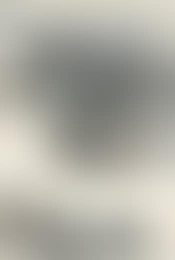 Boating In The Mist (preview)