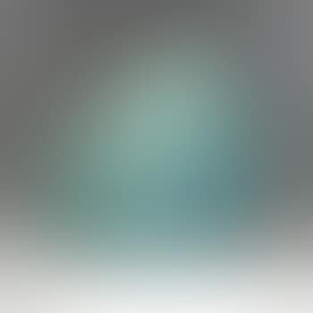 Objekt (preview)