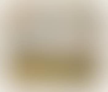 Terschelling (preview)