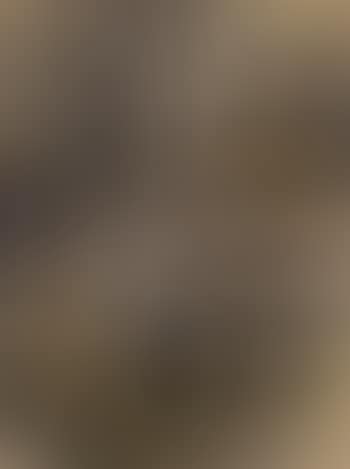o.T. (preview)