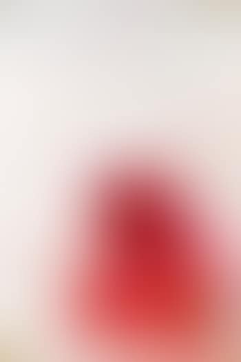Der Hirsch aus … (preview)