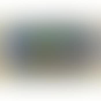 Composizione (preview)