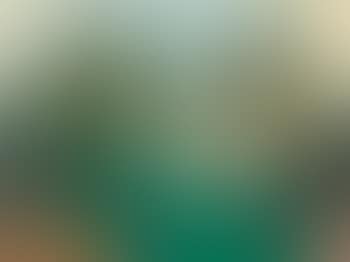 Barbados (preview)