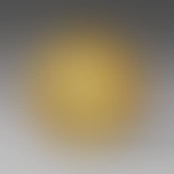 Hommage A Konrad Adenauer (preview)