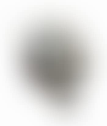 Untitled (Skull) I (preview)