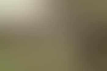 Rastendes Paar bei Schafherde by Jan David Col (preview)