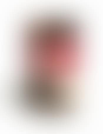 Campbell's tomato soup can (preview)