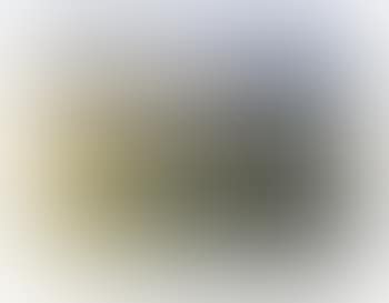 Paysage (preview)