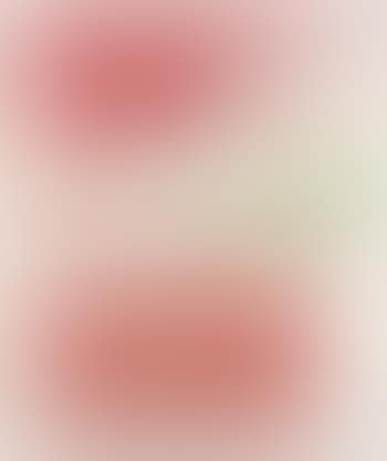 Soup Should Last Forever (preview)