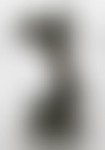 Baigneuse (La Toilette de Venus). (preview)
