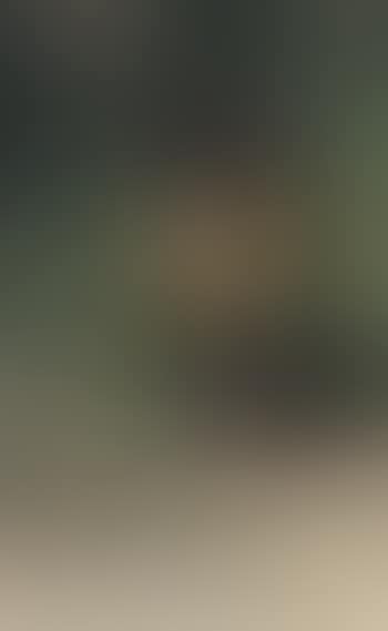 Mantelaffe (Abega) - Mandrill. (preview)