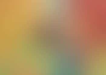 Composizione (preview)