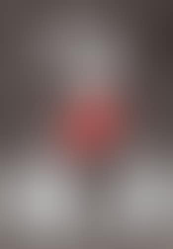 Sans titre (rose rouge) (preview)