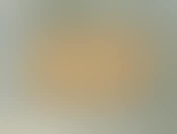 Landscape (preview)