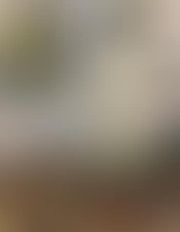 Need't call me lordship, for I am no lord (preview)