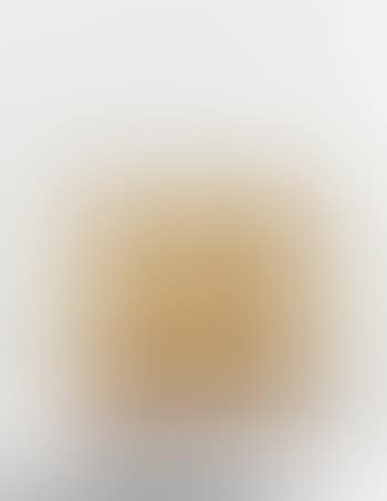 Five-panel screen (preview)