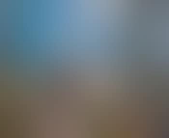 Paysage Robinson II (preview)