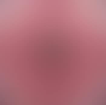 Alom red/grey (preview)