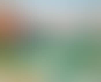 Paysage de montagne (preview)