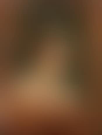 Busto di donna (preview)