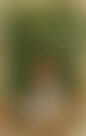 Contadinella (preview)