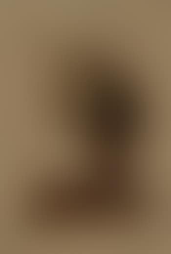 Nature morte mit Schnepfen (preview)