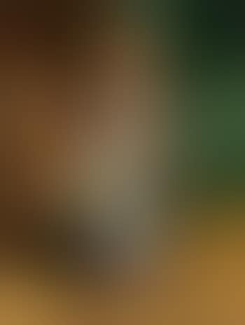 Junge Frau In Blauem Kleid (preview)