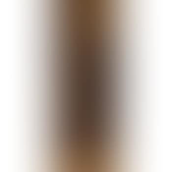 Girl Bicyclist. Study of Acrobats (preview)