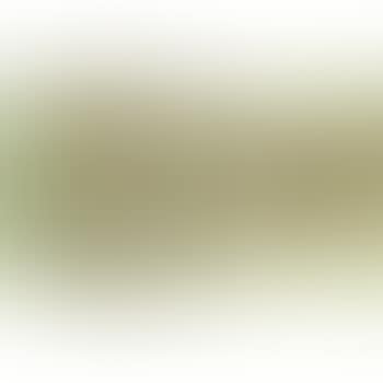 Untitled (Buffalo) (preview)