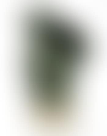 Asclepios (preview)
