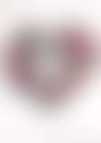The heart (preview)