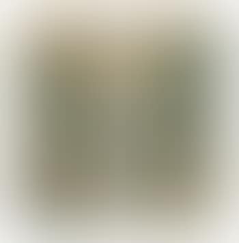 Two Paintings of Landscapes (preview)