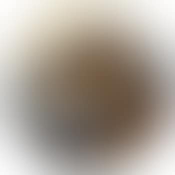 Hundeportrait (preview)