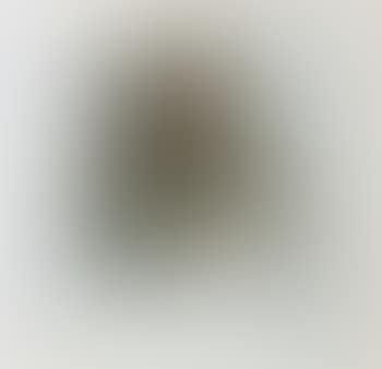 Baumstudie (preview)