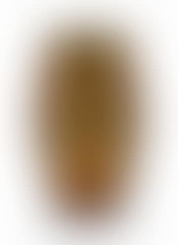 Abeille Butinant vase (preview)