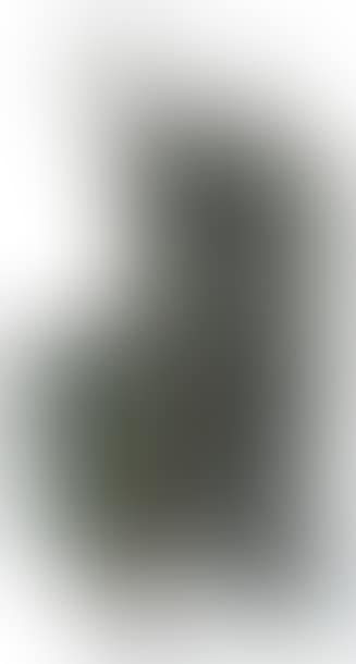 Chien face au mur grillage II (preview)