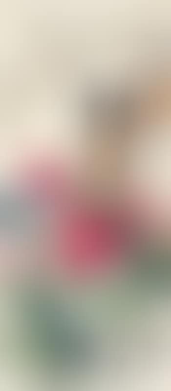 Yulan Magnolia And Peony (preview)