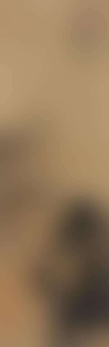 Landscape (preview)
