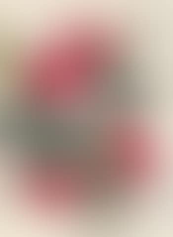 Peony, Peach (preview)