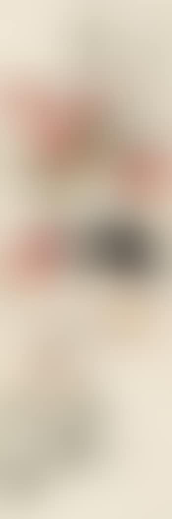 Dogs (preview)