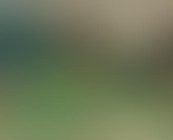 Paysage de Cagnes ou Paysage (preview)
