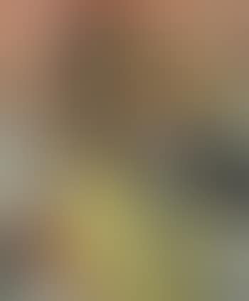 Belle de nuit (preview)