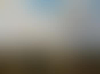 Holländische Landschaft mit Blick auf Haarlem (preview)