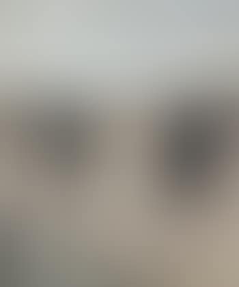 Leaving Montmartre Cemetery (preview)