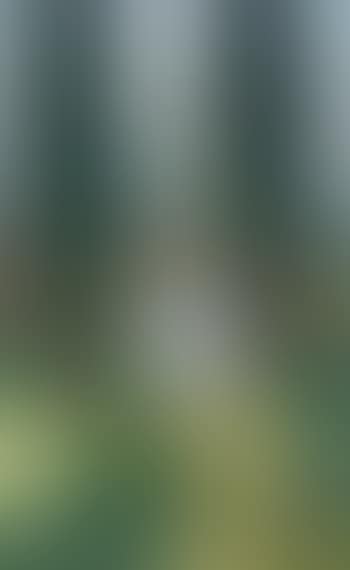 Le Jardin De Marquayrol (preview)